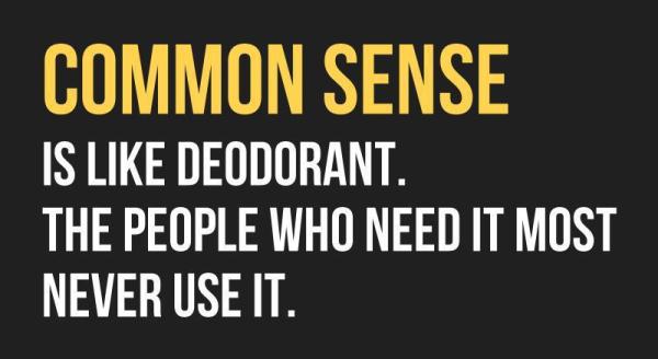 Image result for common sense